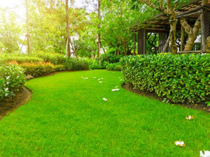 Landscape Services Weatherford